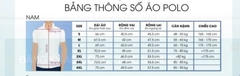 ÁO THUN POLO APV252547