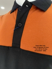 ÁO THUN POLO APV253634