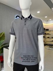 ÁO THUN POLO APV257025