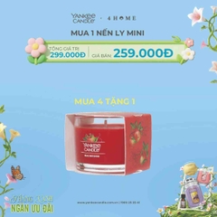 Mua Nến Ly Mini