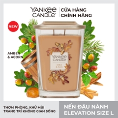 Nến ly vuông Elevation Amber & Acorn - Size L