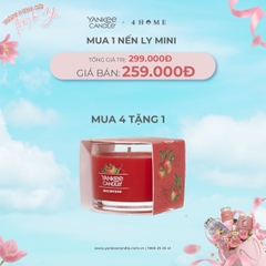 Mua Nến Ly Mini