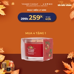 Mua Nến Ly Mini