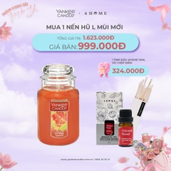 Mua nến hũ L mùi mới được tặng 1 tinh dầu 4Home 10ml và 1 hộp diêm