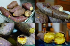 Lò chiên nướng Wiswell Digital Air-Fryer Oven GL-30A/30L