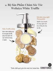 Bộ dầu gội phục hồi đa tầng Nấm Truffle Weilaiya 450ml