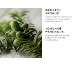 Sữa rửa mặt trị mụn Innisfree Bija Trouble Facial Foam