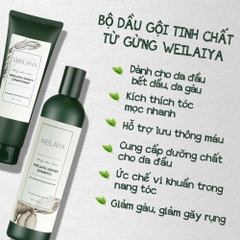 Cặp dầu gội xả gừng trắng kích mọc tóc Weilaiya Ginger