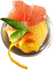 Máy làm kem Krups Perfect Mix 9000 GVS241