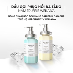 Bộ dầu gội phục hồi đa tầng Nấm Truffle Weilaiya 450ml