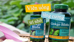 Puritan’s Pride Ginko Biloba 120mg