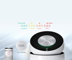 Máy lọc không khí LG PuriCare 1 tầng (bản nội địa)