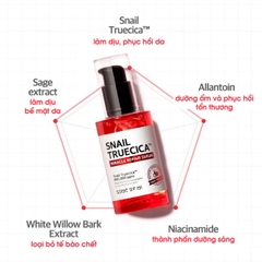 Set Dưỡng Da Some By Mi Snail Truecica Miracle Repair Starter Kit
