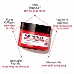 Set Dưỡng Da Some By Mi Snail Truecica Miracle Repair Starter Kit