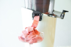 Máy ép chậm Hurom Diva S