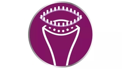 Bàn là ủi hơi nước cầm tay Philips Steam&Go GC365