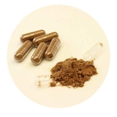 Tảo phòng chống ung thư Fucoidan Umi No Shizuku Nội địa Nhật