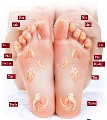 Chậu ngâm chân massage hồng ngoại Medisana FS885