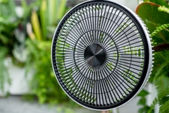 Quạt gấp thông minh Elegant