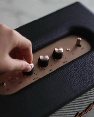 Loa Marshall Stanmore II