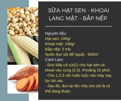 Máy làm sữa hạt Medion MD 19725