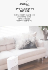 Máy sưởi ceramic tạo ẩm Welle Home WH-T850H