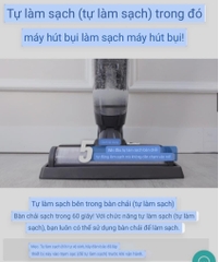 Máy hút bụi - lau nhà Mamibot