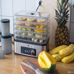 Máy sấy hoa quả và thực phẩm WMF