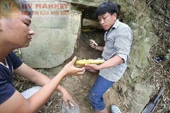 Mật ong rừng