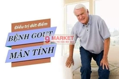 Viên uống trị Gout Anserine Minami Nhật Bản