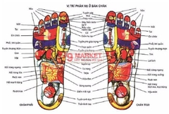 Miếng dán chân khử độc tố To-plan Kenko Nhật Bản