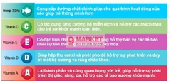 Kẹo Dẻo Omega 3 + DHA Gummy Fish 180V