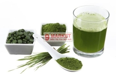 Dung dịch tảo biển Vitamin C Tout En Vie 100mg