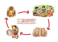 Thuốc tẩy giun Fluvermal - Pháp