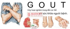 Viên uống trị Gout Anserine Minami Nhật Bản