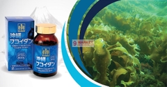 OKINAWA FUCOIDAN - CHỐNG UNG THƯ, NHƯ NGƯỜI NHẬT