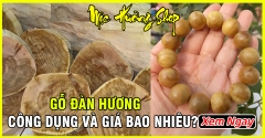 Gỗ Đàn Hương có tốt không? Công dụng và giá bao nhiêu?