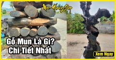 Gỗ mun có mấy loại? Giá bán? Công dụng? Cách nhận biết thật giả