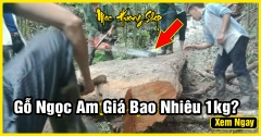 Gỗ Ngọc Am Giá Bao Nhiêu 1kg? Phân biệt Ngọc Am Đỏ Và Ngọc Am Lào