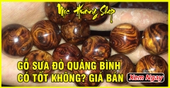 Gỗ sưa đỏ Quảng Bình có tốt không? Phân loại và Giá bán