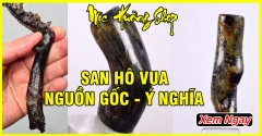 Vòng San Hô Vua Tự Nhiên 100% - Nguồn Gốc và Ý Nghĩa