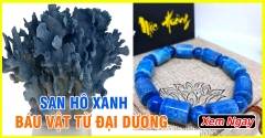 San hô xanh là gì? Tác dụng và hợp với mệnh tuổi nào?