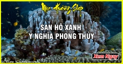 Vòng San Hô Xanh: Ý nghĩa phong thủy với người mệnh Mộc - Thủy