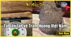 Gỗ Trầm Hương Việt Nam là gì? Phân loại, Giá bán, Cách phân biệt