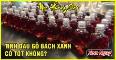 Tinh dầu gỗ Bách Xanh có tốt không? Tác dụng và Cách dùng