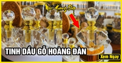 5 Lợi ích tinh dầu Hoàng Đàn nguyên chất 100% ít người biết