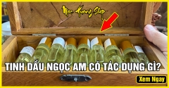 Tinh Dầu Ngọc Am Hà Giang Nguyên Chất Có Tác Dụng Gì? Phân Biệt Thật Giả