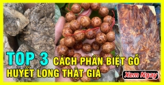 Top 3 cách phân biệt gỗ Huyết Long thật giả quá dễ dàng