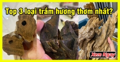 Top 3 loại trầm hương thơm mạnh nhất đại gia luôn săn tìm