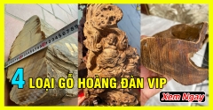 Top 4 loại gỗ hoàng đàn được đại gia săn tìm mua bằng được